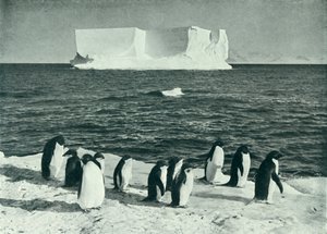 Un iceberg dérivant dans le détroit de McMurdo - Herbert Ponting