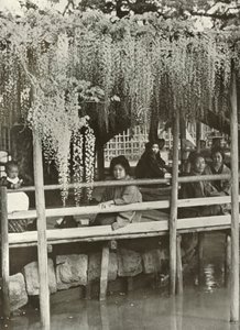 Une tonnelle de glycine à Kameido, 1910
