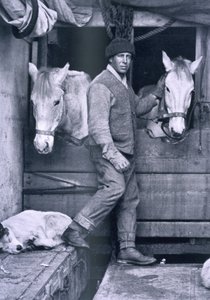 Capt. Oates et deux des poneys sur le Terra Nova, de 