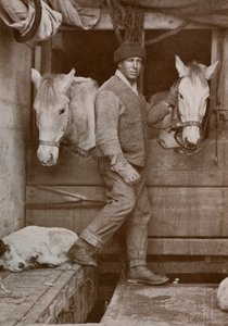 Le capitaine Oates et les poneys sur le Terra Nova, vers 1910-1912 - Herbert Ponting