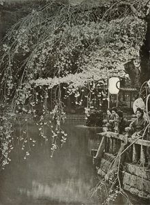 Temps des cerisiers en fleurs au Japon, 1910 - Herbert Ponting