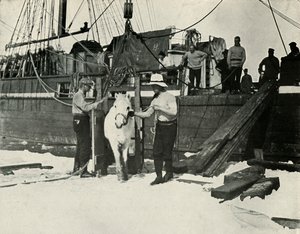 Débarquement des poneys, vers 1910-1913, 1913