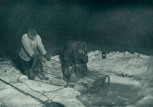 Dr. Atkinson et Clissold remontant le piège à poissons, 28 mai 1911, 1913 - Herbert Ponting