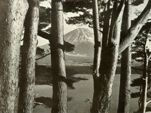 Fuji et les pins, 1910