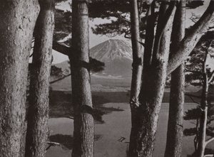 Fuji à travers les pins (photo n/b)