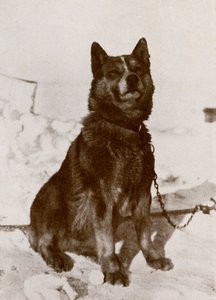 Krisravitsa - Herbert Ponting