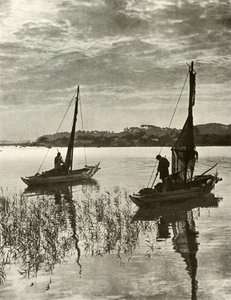 Sur la baie de Tokyo