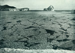 Formation de glace en crêpe en floes au large du cap Evans, vers 1910-1913, 1913