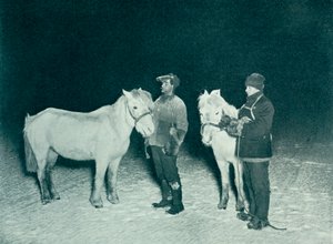 Officiers subalternes Crean et Evans exerçant leurs poneys en hiver, 1911