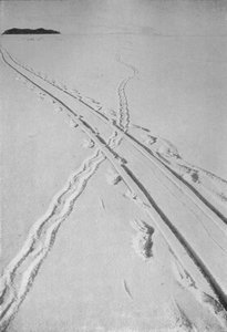 Piste de traîneau croisant une piste de manchot Adélie, 8 décembre 1911, 1913 - Herbert Ponting