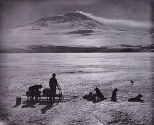 Traîneau et chiens, avec le mont Erebus en arrière-plan - Herbert Ponting