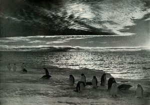 Le soleil de minuit dans le détroit de McMurdo - Herbert Ponting