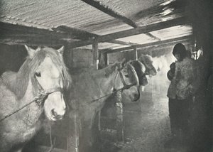 Les écuries en hiver, vers 1910-1911, 1913