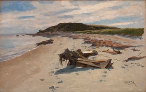 Cape Cod, Plage - Herman Hartwich