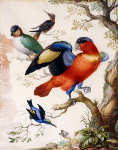 Quatre oiseaux en bois - Herman Henstenburgh