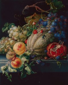 Nature morte de fruits sur un rebord de pierre