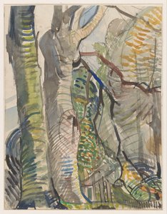 Paysage forestier
