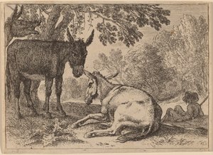 Ânes - Herman van Swanevelt
