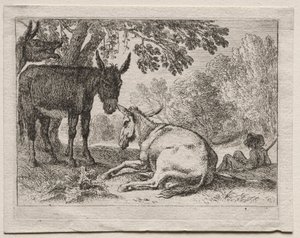 Ânes - Herman van Swanevelt