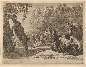 Chèvres - Herman van Swanevelt