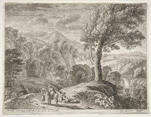Le grand arbre et la cascade