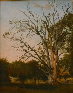 Scène forestière avec un arbre mort - Hermann Carmiencke