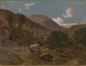 Paysage norvégien