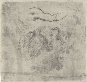 Feuille d