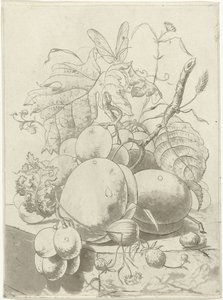 Fruits et une branche avec un papillon - Hermanus Fock