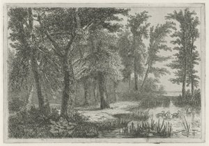 Paysage forestier avec un étang et des canards - Hermanus Jan Hendrik van Rijkelijkhuysen