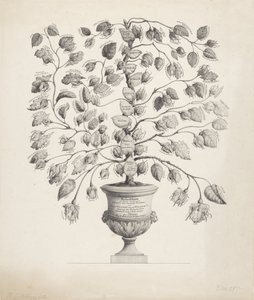 Arbre généalogique de la Maison d
