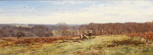 Dans la New Forest, Hampshire