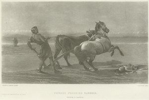 Ulysse feignant la folie (gravure)