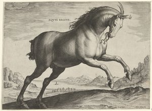 Cheval de la race Equus Regius (Les races de chevaux des écuries royales de Don Juan d