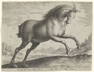 Cheval de la race Equus Regius (le Royal) - Hieronymus Wierix