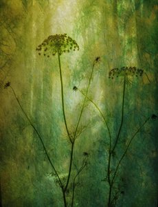  - Hilda van der Lee
