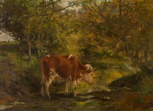  - Hippolyte Boulenger