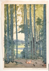 Bosquet de bambous