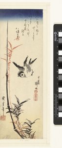 Bambou et moineau - Hiroshige (I) , Utagawa