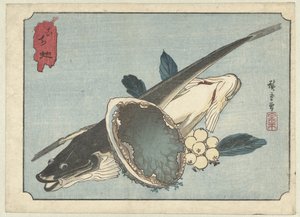 Poissons plats, ormeaux et baies