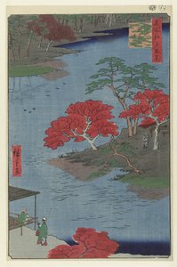 Terrains du temple du sanctuaire Akiba à Ukiji (Meisho Edo hyakkei)