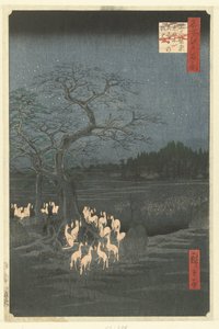 Feux de renard à la veille du Nouvel An près de l