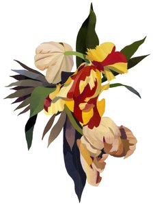 Tulipe perroquet 3