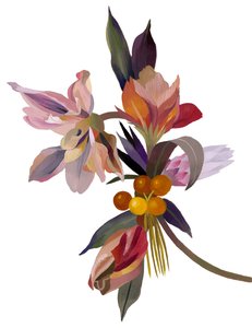 Une fleur imaginaire basée sur une tulipe.