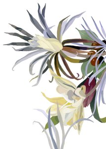 Fleurs élégantes, semblables à des barbes - Hiroyuki Izutsu