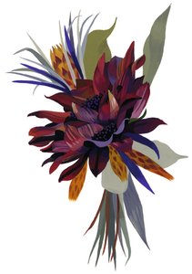 Dahlia sauvage - Hiroyuki Izutsu