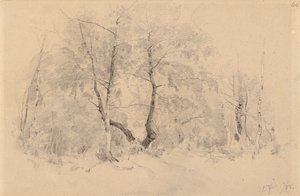Bosquet de bouleaux - Hjalmar Munsterhjelm