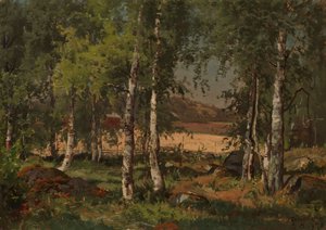 Paysage avec bosquet de bouleaux et champ de seigle - Hjalmar Munsterhjelm