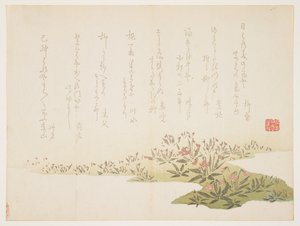 Violettes, vers 1848-53