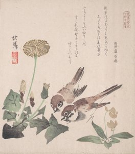 Collection de Pluie de Printemps Harusame shu, vol. 3 : Moineaux et Pissenlits